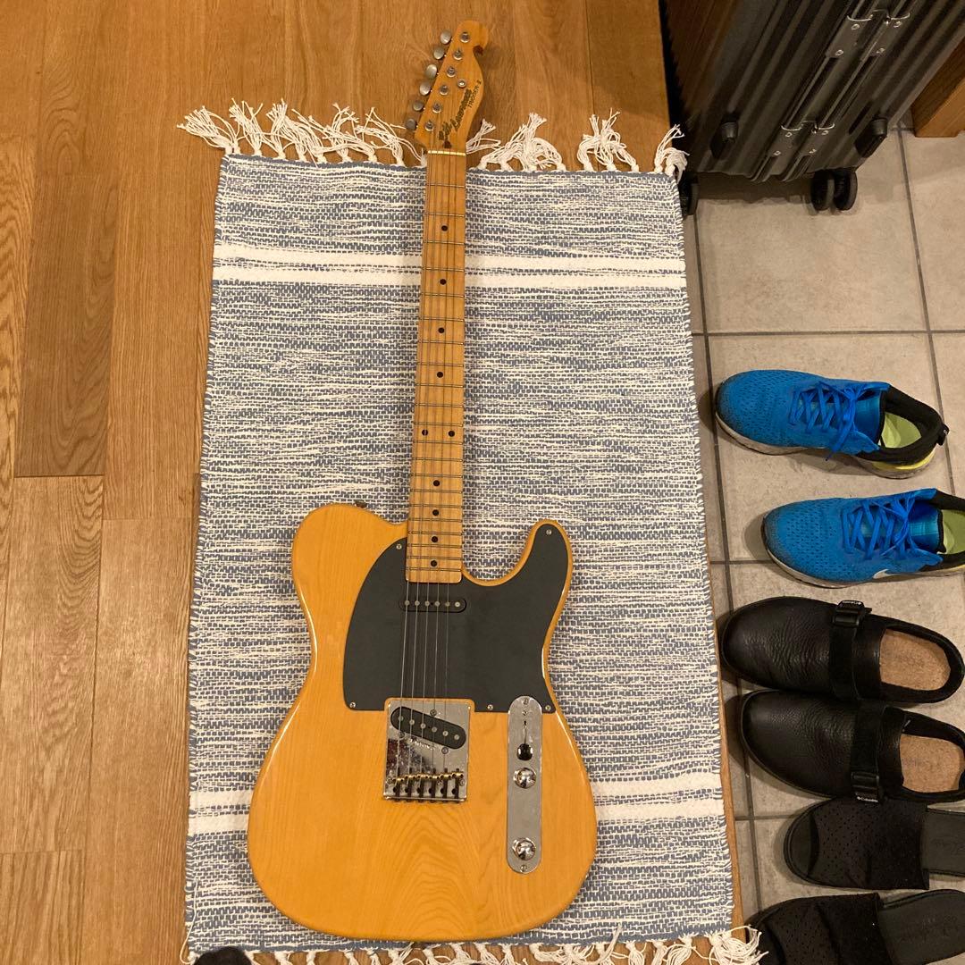 Bill Lawrence TRIGGER-Ⅱ Telecaster ジャンク
