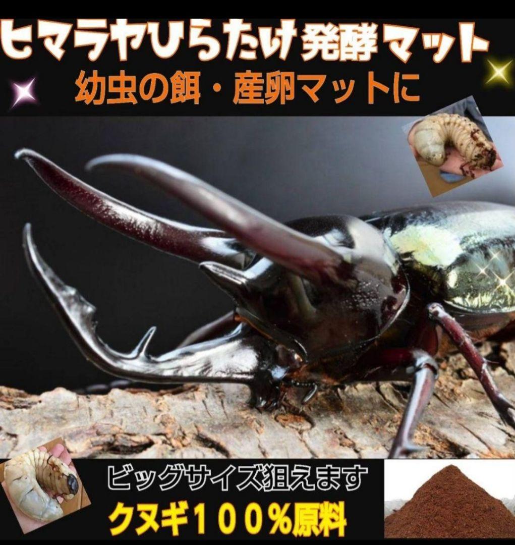 たっぷり100リットル　カブトムシ幼虫が大きくなる！発酵マット　雑虫がわかない