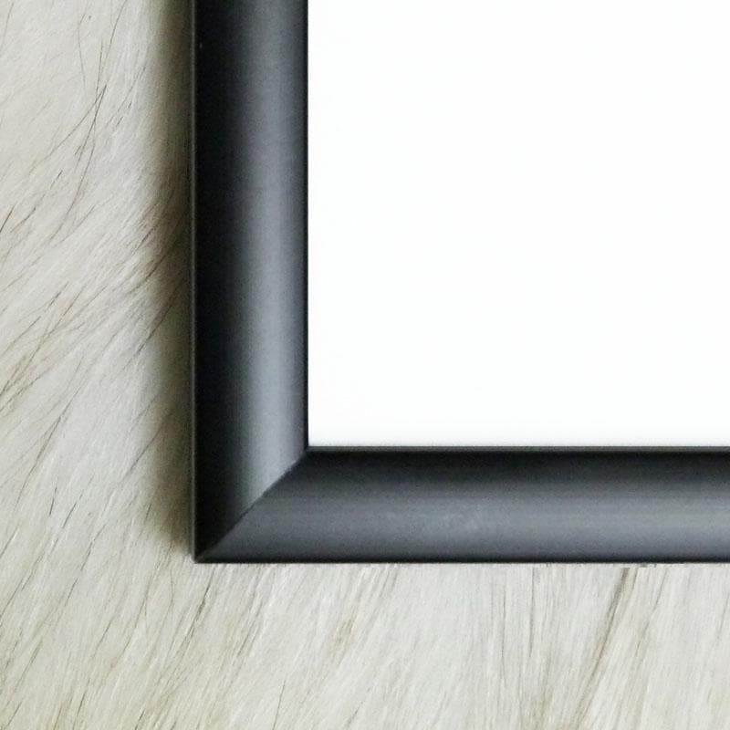 額装品/The Art of Banksy/バンクシー/アート/インテリア/貴重