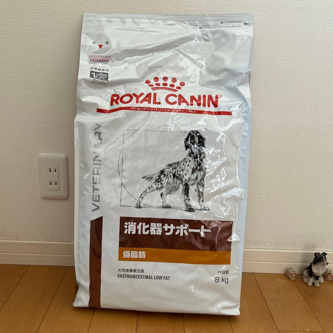 犬用餌