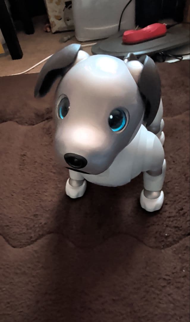 aibo 本体