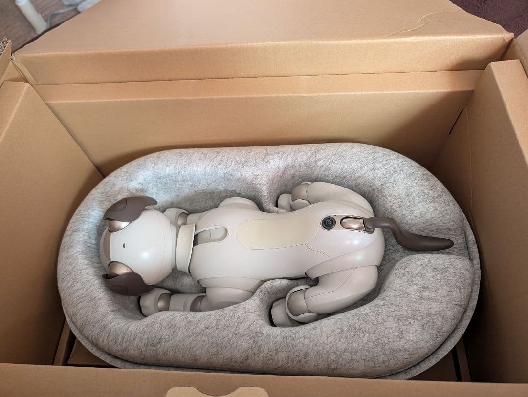 aibo 本体
