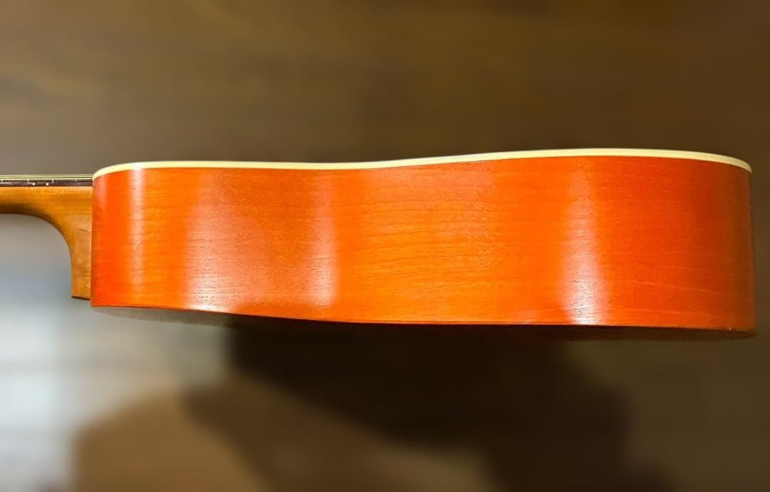 Art&Lutherie Folk Cedar Sunrise 　試聴動画有り