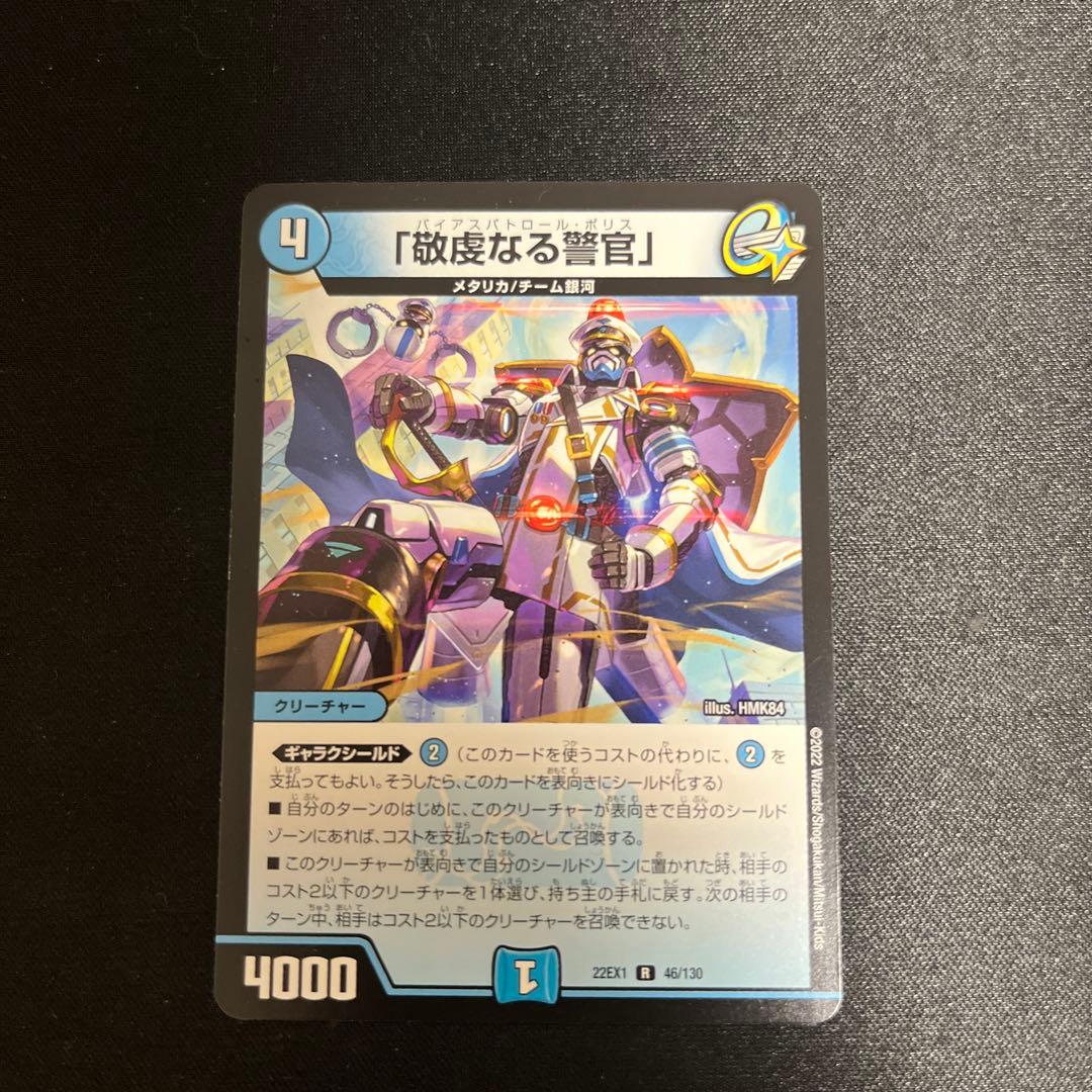 パイアスパトロールポリス