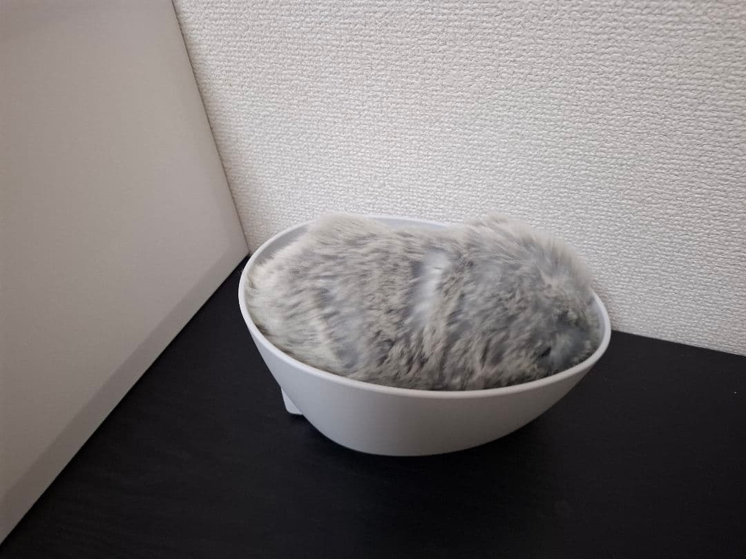 モフリンmoflin
