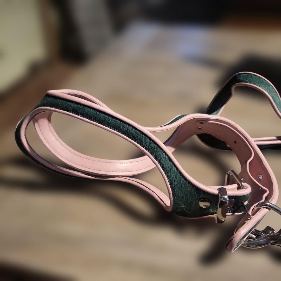 レザー緑ピンクハーネス