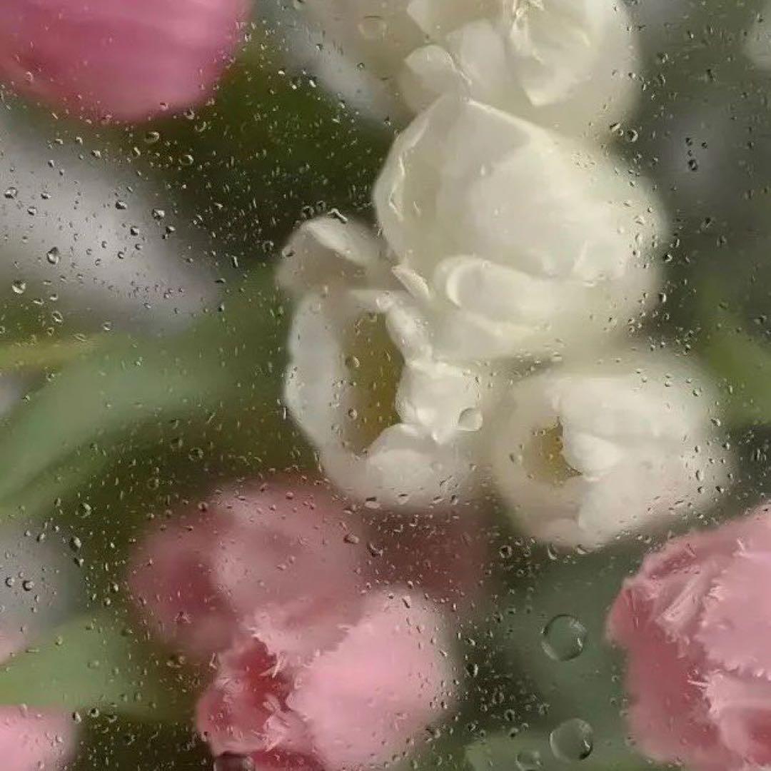 まほ