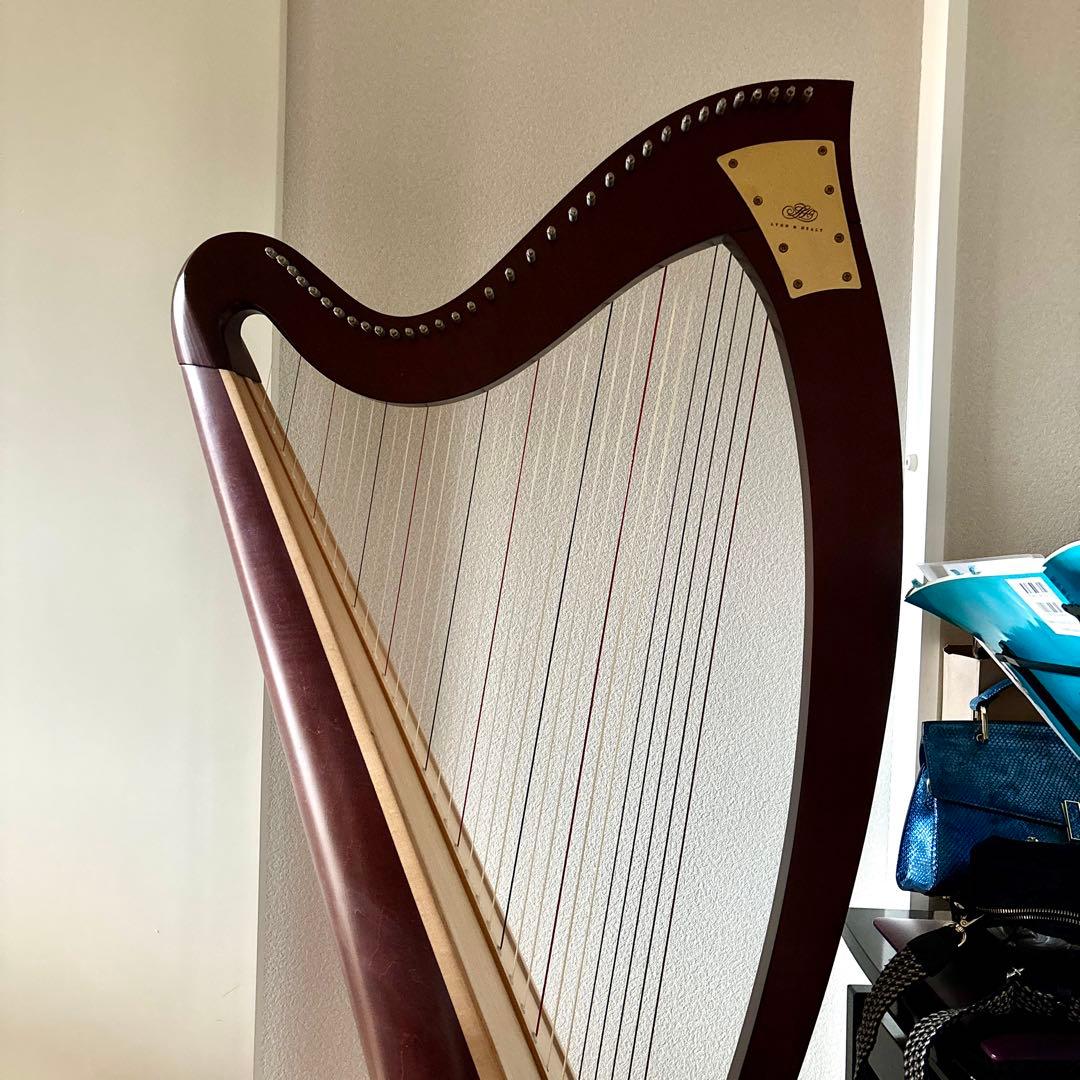 超美品 LION & HEALY オグデン アイリッシュハープ 銀座十字屋