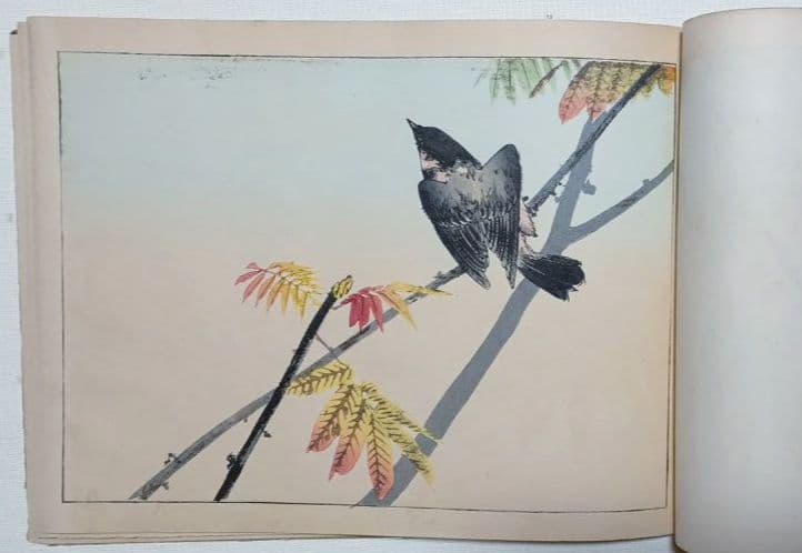 稀省亭版画花鳥画帖12図柄入り渡辺省亭画、明治後期頃芸艸堂出版