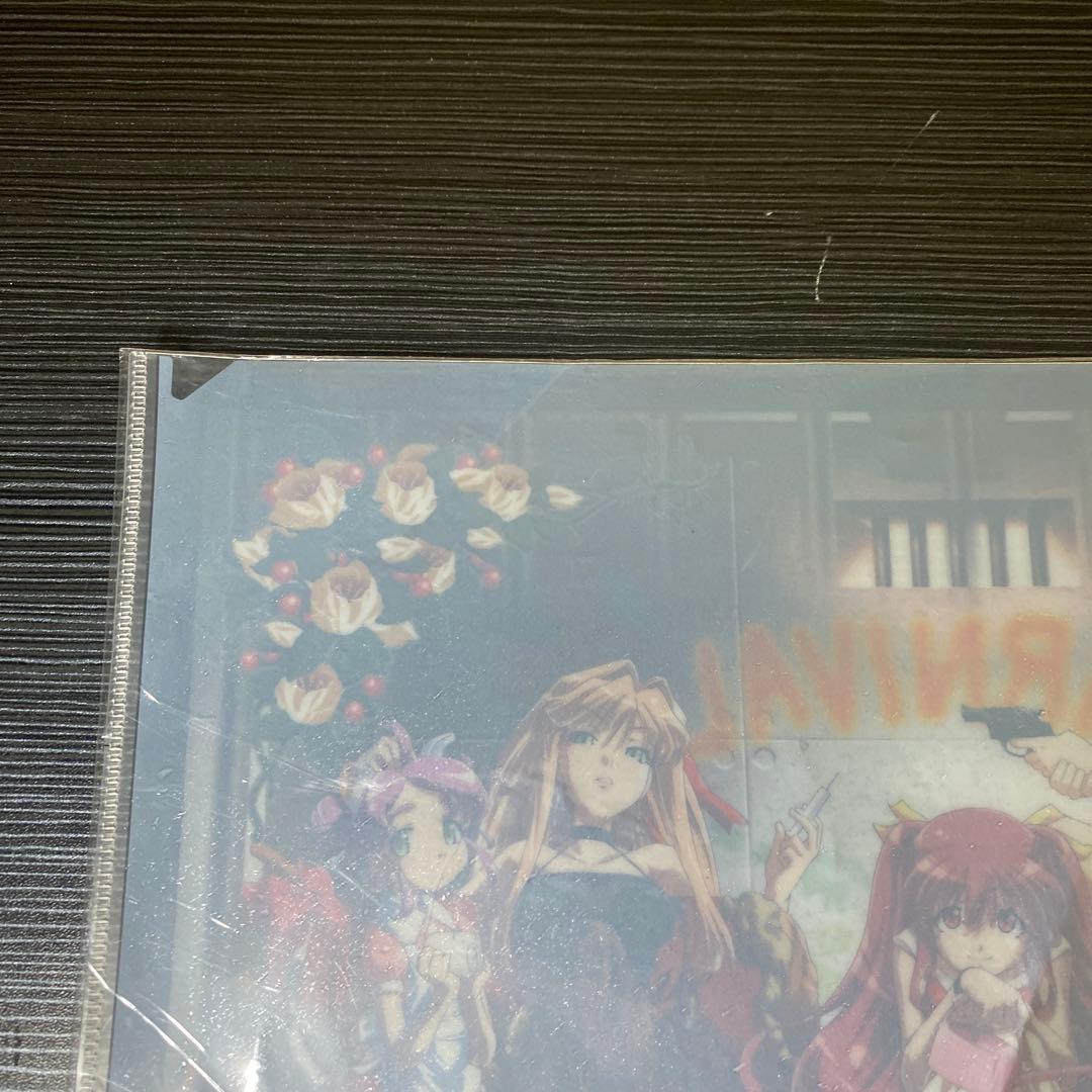 【未使用】CARNIVAL クリアファイル S.M.L