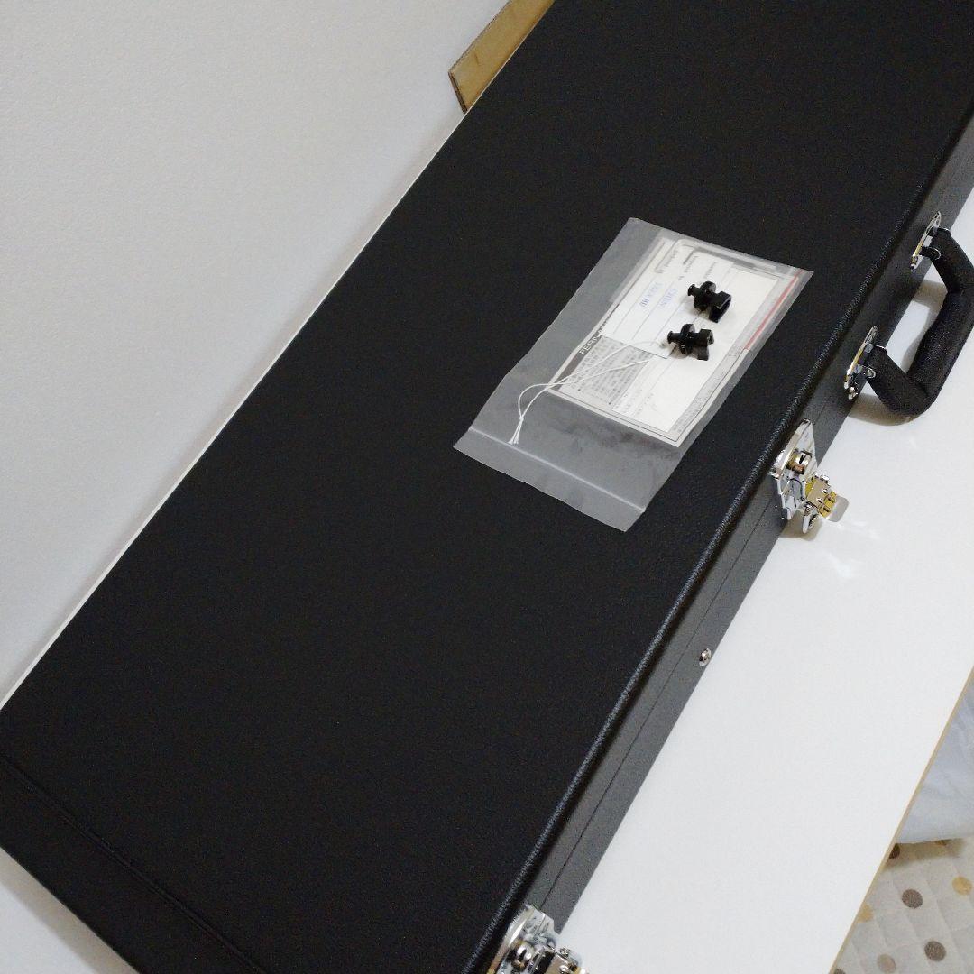 FERNANDES TEJ STD-2S 19 BLK 不定期出品