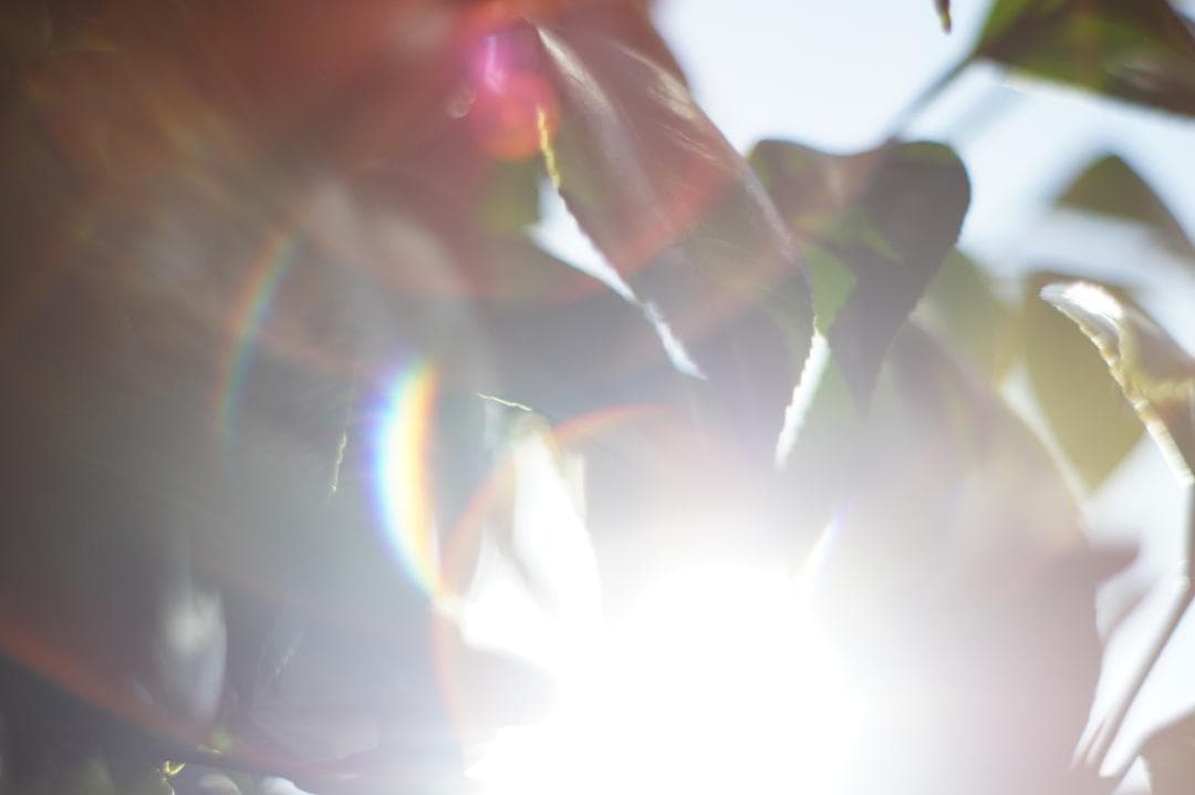 極美フレア✨ 作例有 PENTAX スーパータクマー 55mm f1.8 後期