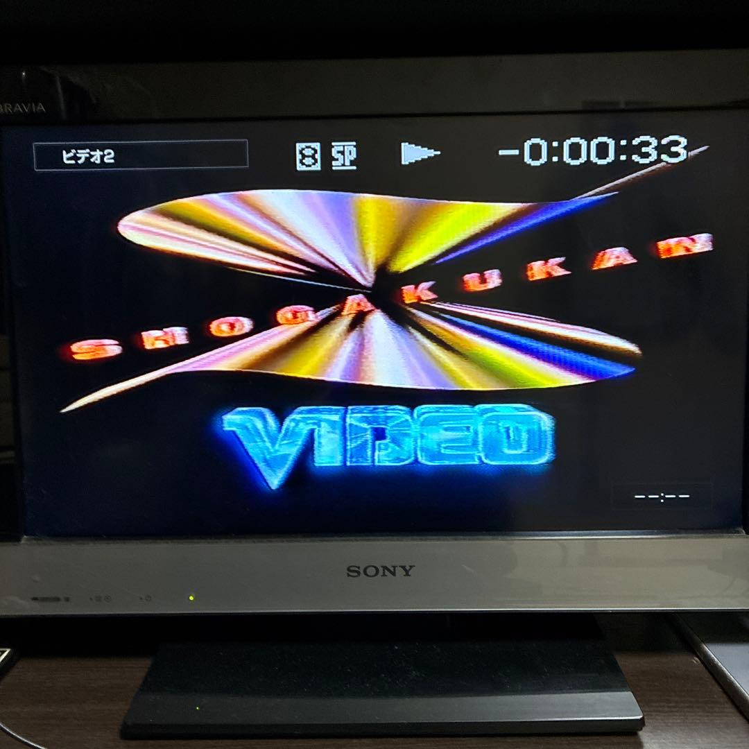 SONY GV-D200 デジタルビデオカセットレコーダ【動作確認済】付属品多数