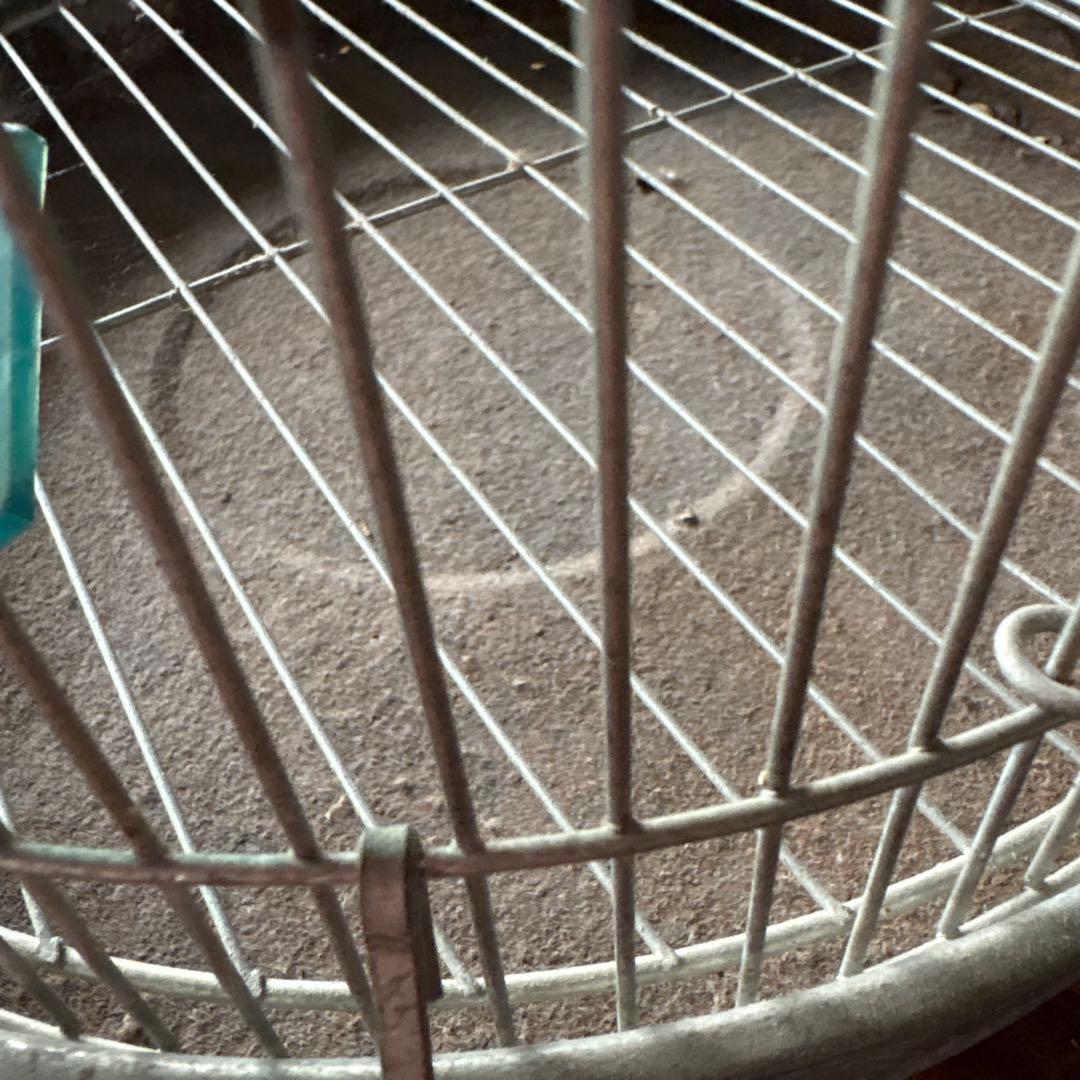 【昭和レトロ】中型鳥かご 金属製 木製止まり木、えさ入れ、水入れ付き