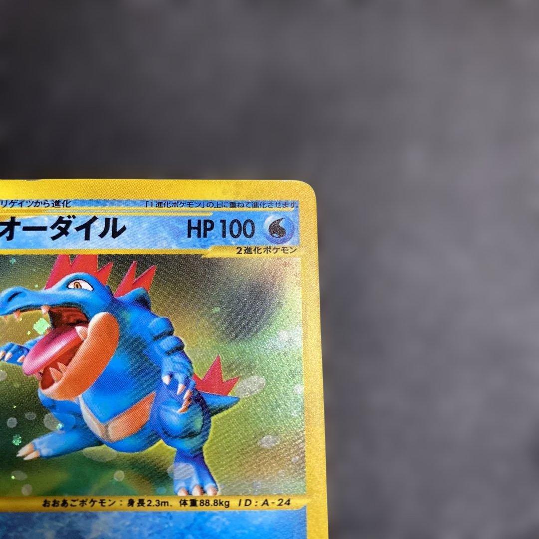 No.1082 オーダイル