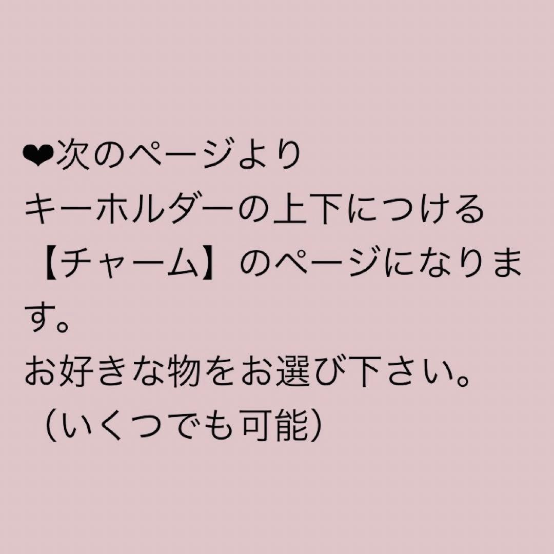 1/2限定価格❣️ドック キャット オーダー ペット ネーム キーホルダー