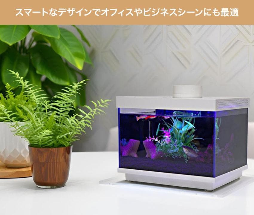 【オールインワン】FiSH-α2 6.9L ガラス水槽　スマホ連携