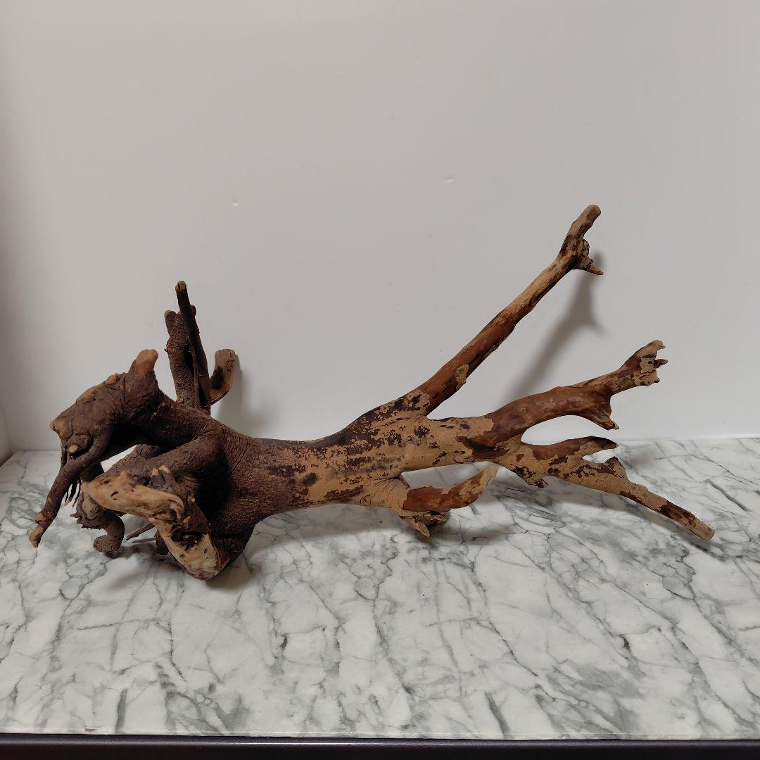 アク抜き済み流木【884】セール