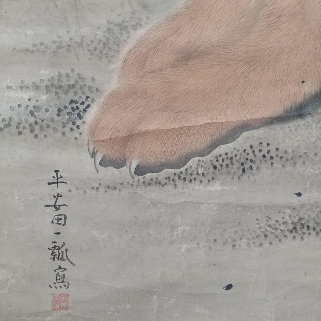 江戸絵画  虎  掛け軸  肉筆  江戸時代  貴重  骨董  茶道具