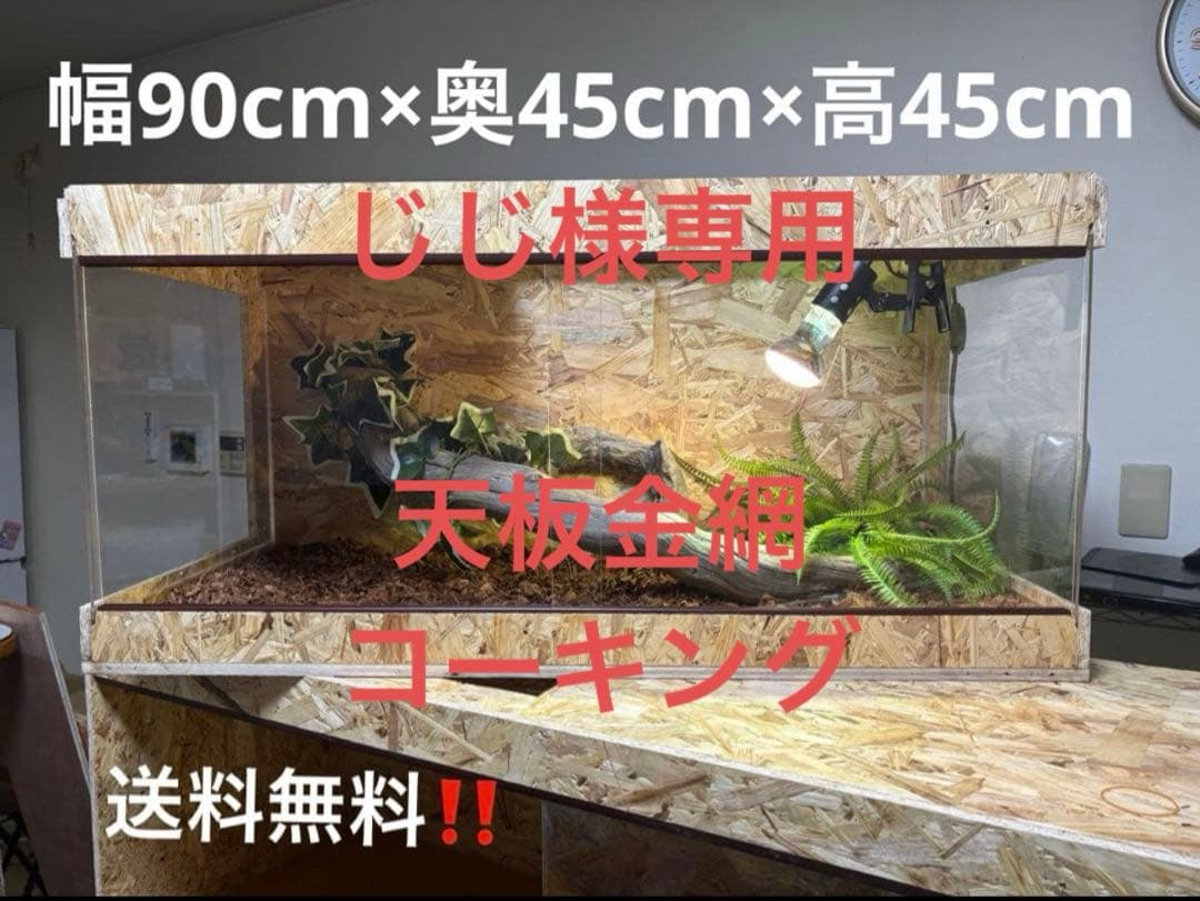 じじ　904545