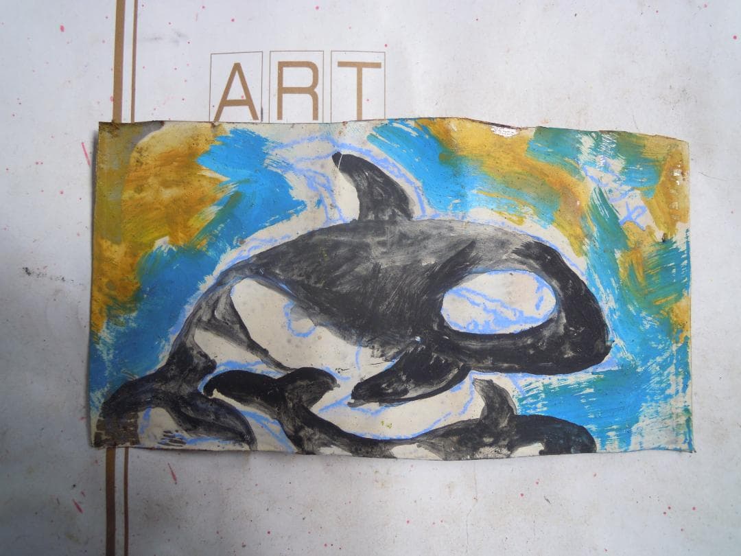 シャチ
