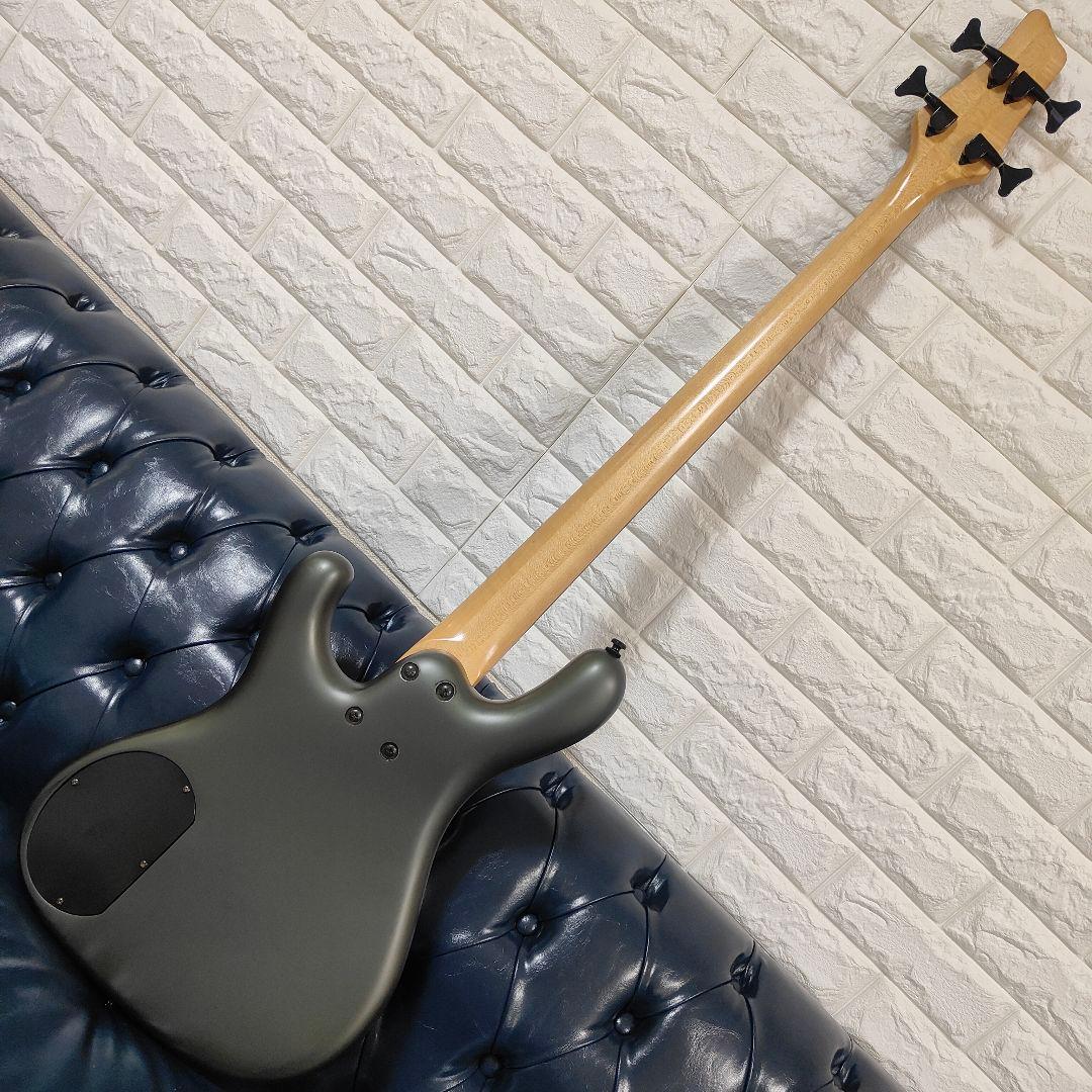 Ibanez ergodyne EDB350 アイバニーズ アクティブ ベース