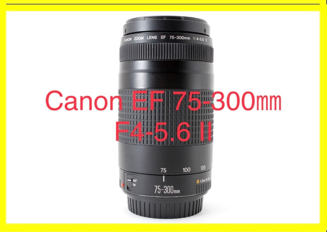 動作品☆キャノン☆Canon EF 75-300mm F4-5.6 Ⅱ