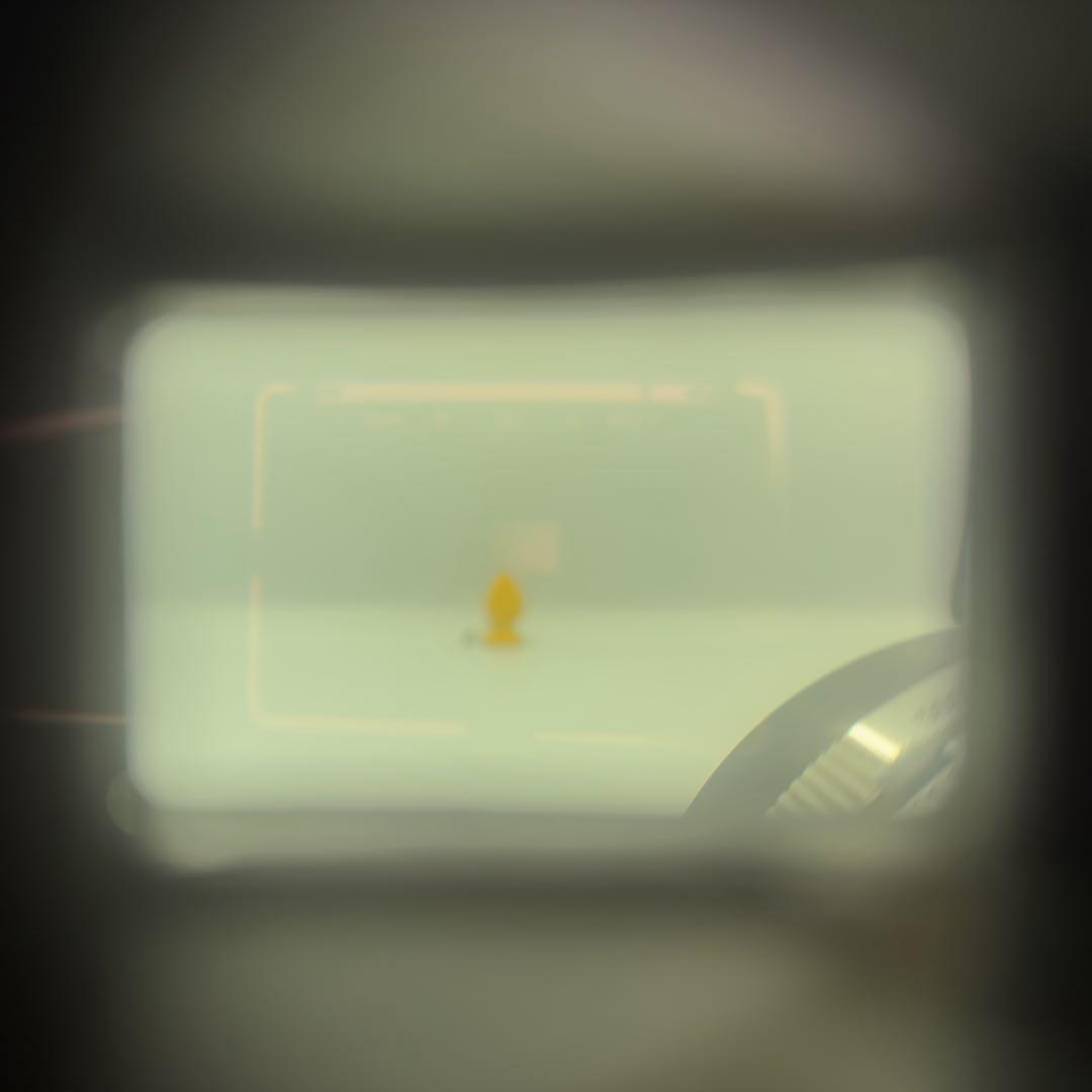 Canon Canonet QL19 完璧なコンディション、オリジナル付属品完備