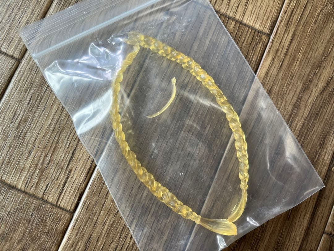 ワンダーショウケース　ストリートファイター　キャミィ　ガレージキット