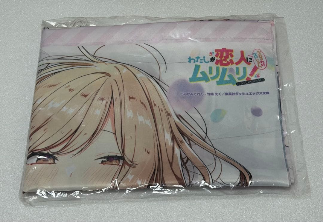 わたしが恋人になれるわけないじゃん、ムリムリ！　特典　タペストリー