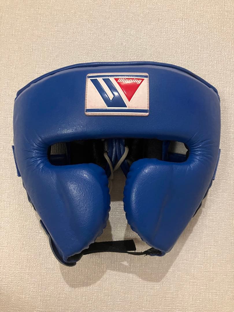 Winning ヘッドギア フルフェイスタイプ ブルー M FG-2900