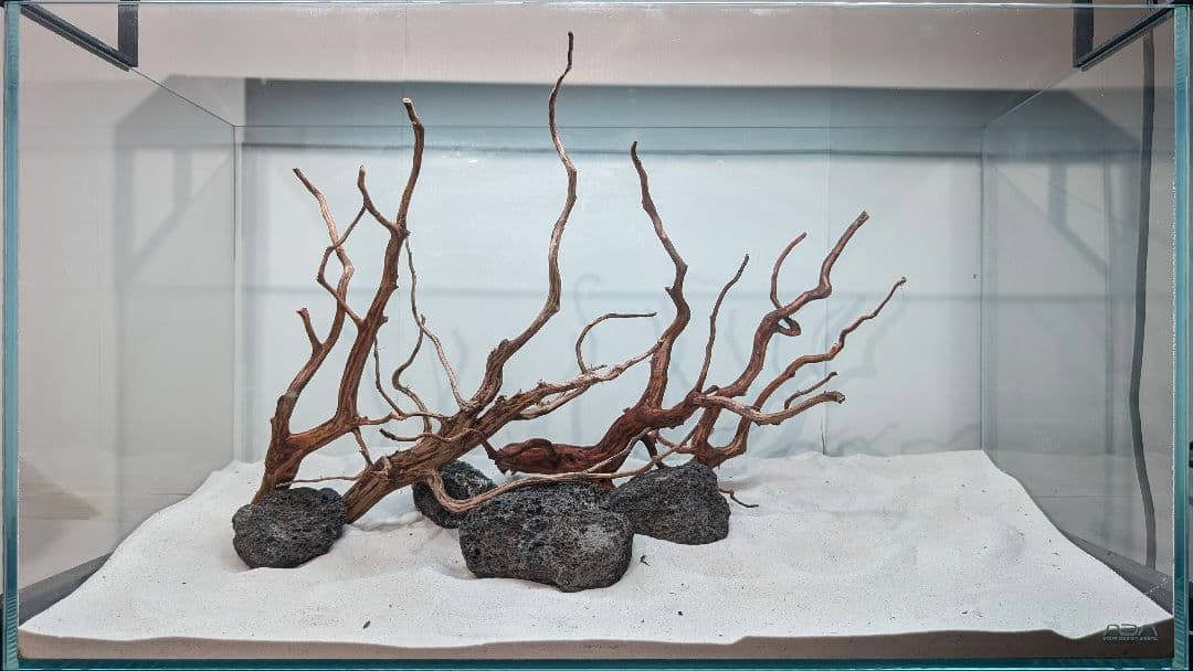 レイアウトセット【LSB016】 スマトラブランチウッド 水槽 まとめ買い対応