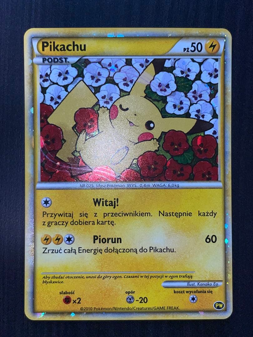 ピカチュウワールド　ポーランド