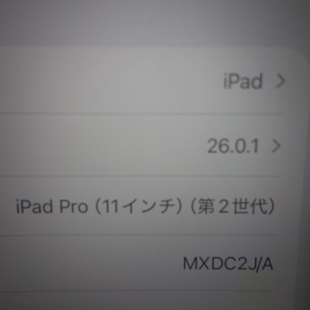 287）iPad PRO 11インチ 第2世代 256GB MXDC2J/A