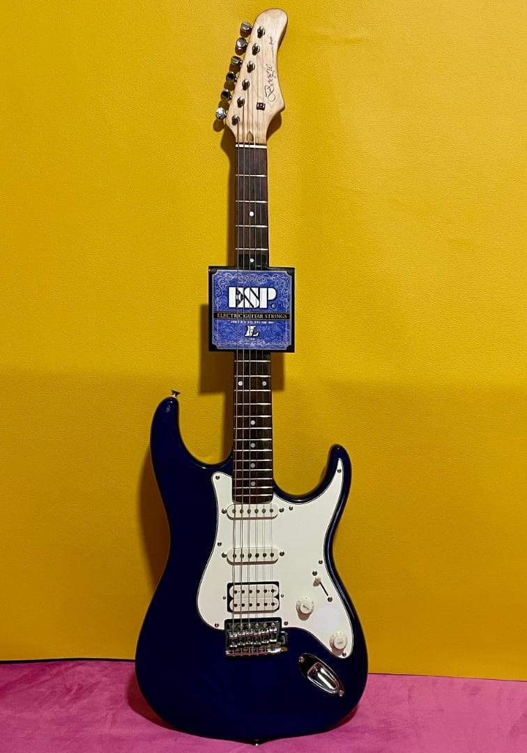 【早い者勝ち⭐️】木目美 グレコBoogieブギー ストラトタイプエレキギター