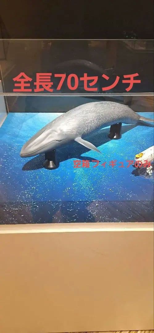 海洋堂 巨大フィギュア 全長70cm以上! シロナガスクジラ