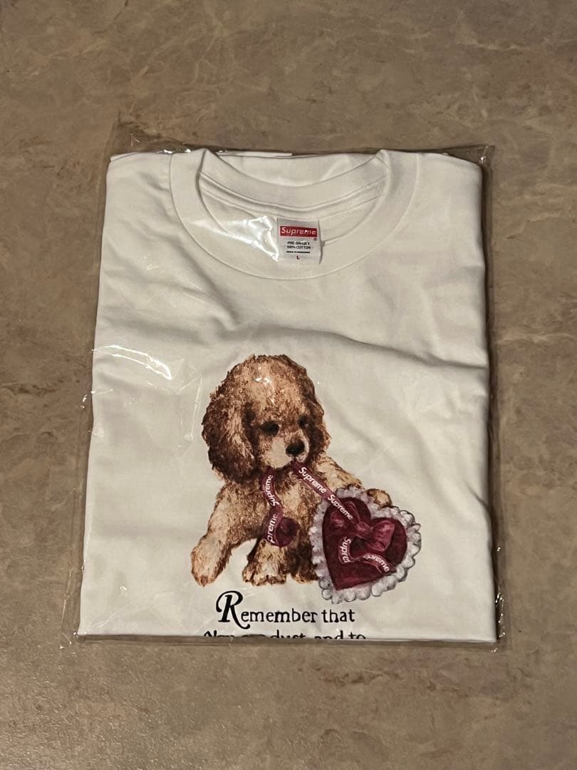 Supreme Dust Tee \
