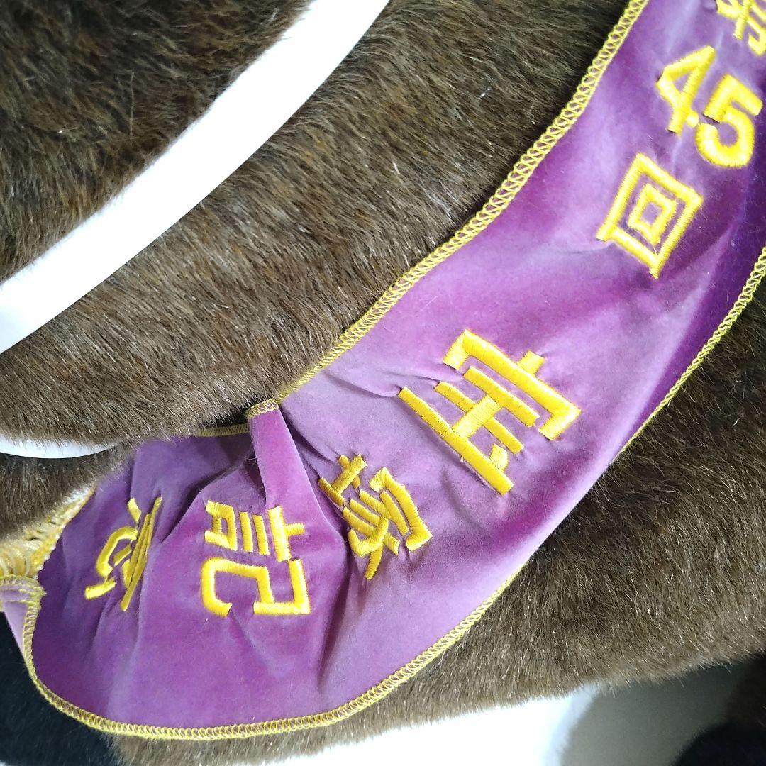 【AVANTI製】タップダンスシチー第45回宝塚記念2Lサイズ(タグ付き)