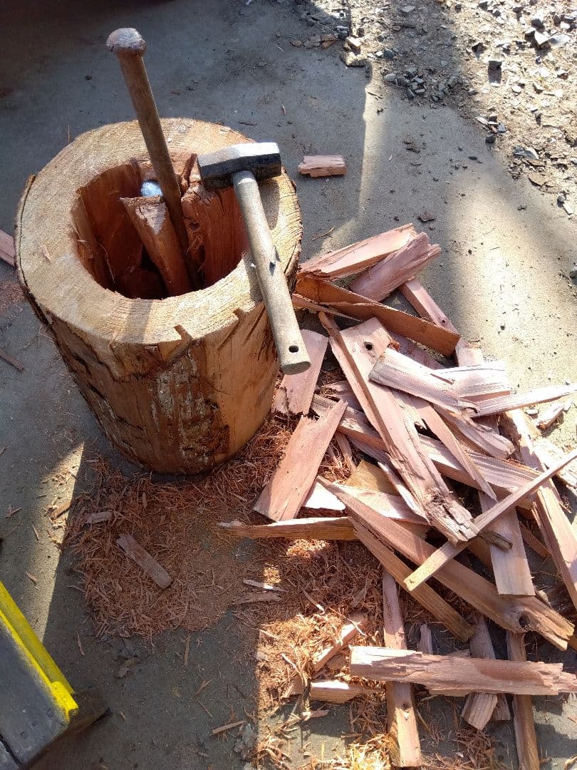 みつばち、昆虫飼育用 中空洞木材 杉材 樹洞 くり抜き 丸洞