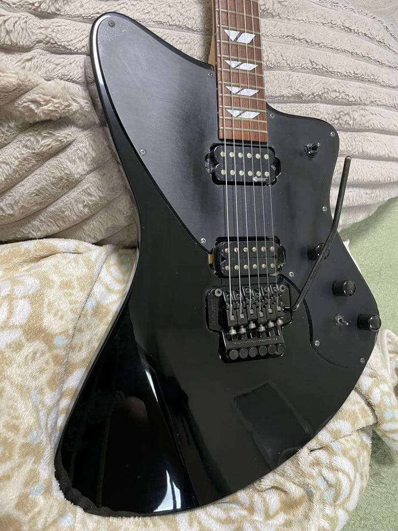 希少！Burny H-85 サスティーナ搭載シャチ HIDE HOTEI
