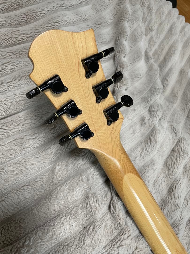 希少！Burny H-85 サスティーナ搭載シャチ HIDE HOTEI