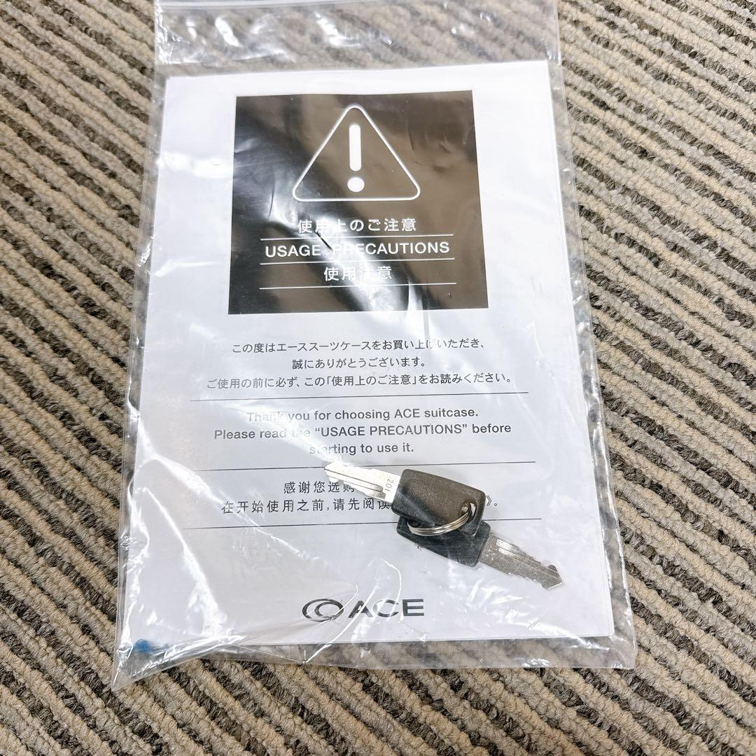 ACE 大型 7〜10泊 110Lスーツケース 4輪 キャリーケース 鍵付き