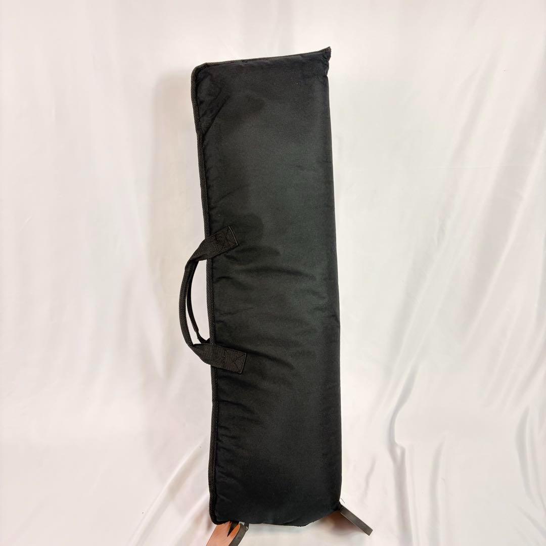 ARIA Sinsonido AS-100C サイレント ガットギター