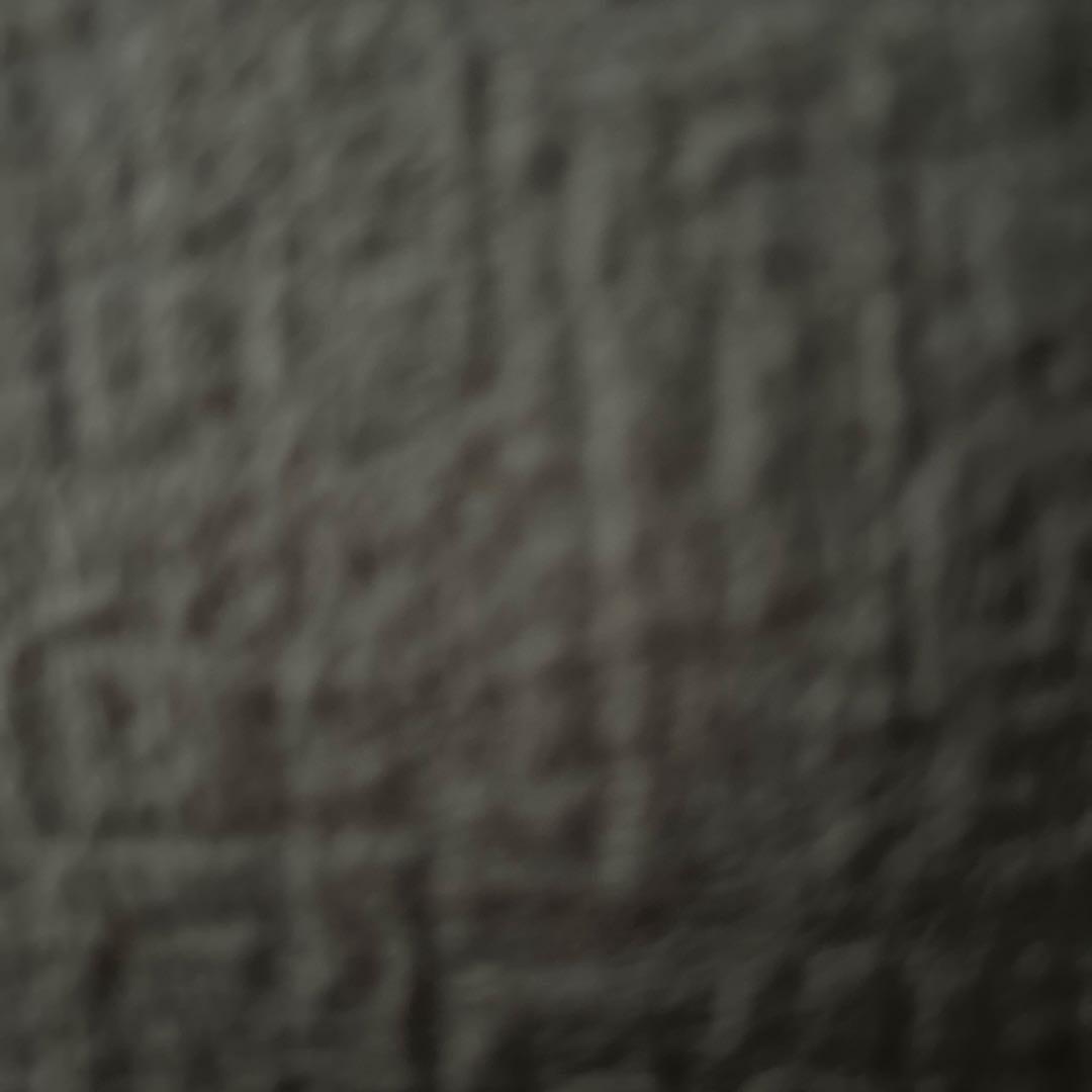 トップス NISHIJIN