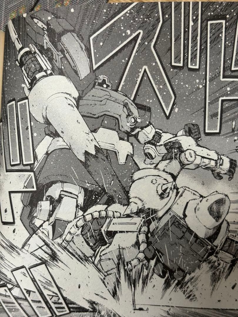 HG ドム(親衛隊仕様)塗装完成品