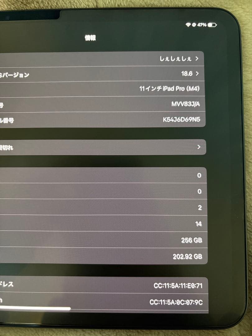 Apple iPad Pro スペースグレー 本体