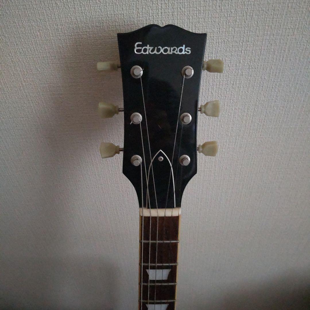 エドワーズSG　ED1328570