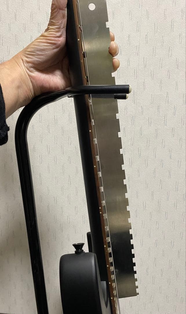 Donnerエレキギター