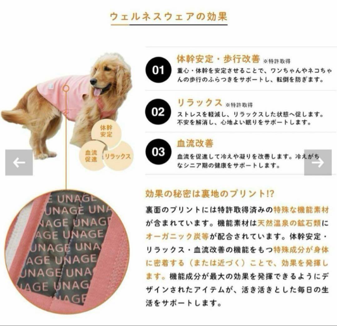 【新品】iDog UNAGE アンエイジウェルネスウェア アイドッグ　まとめ売り