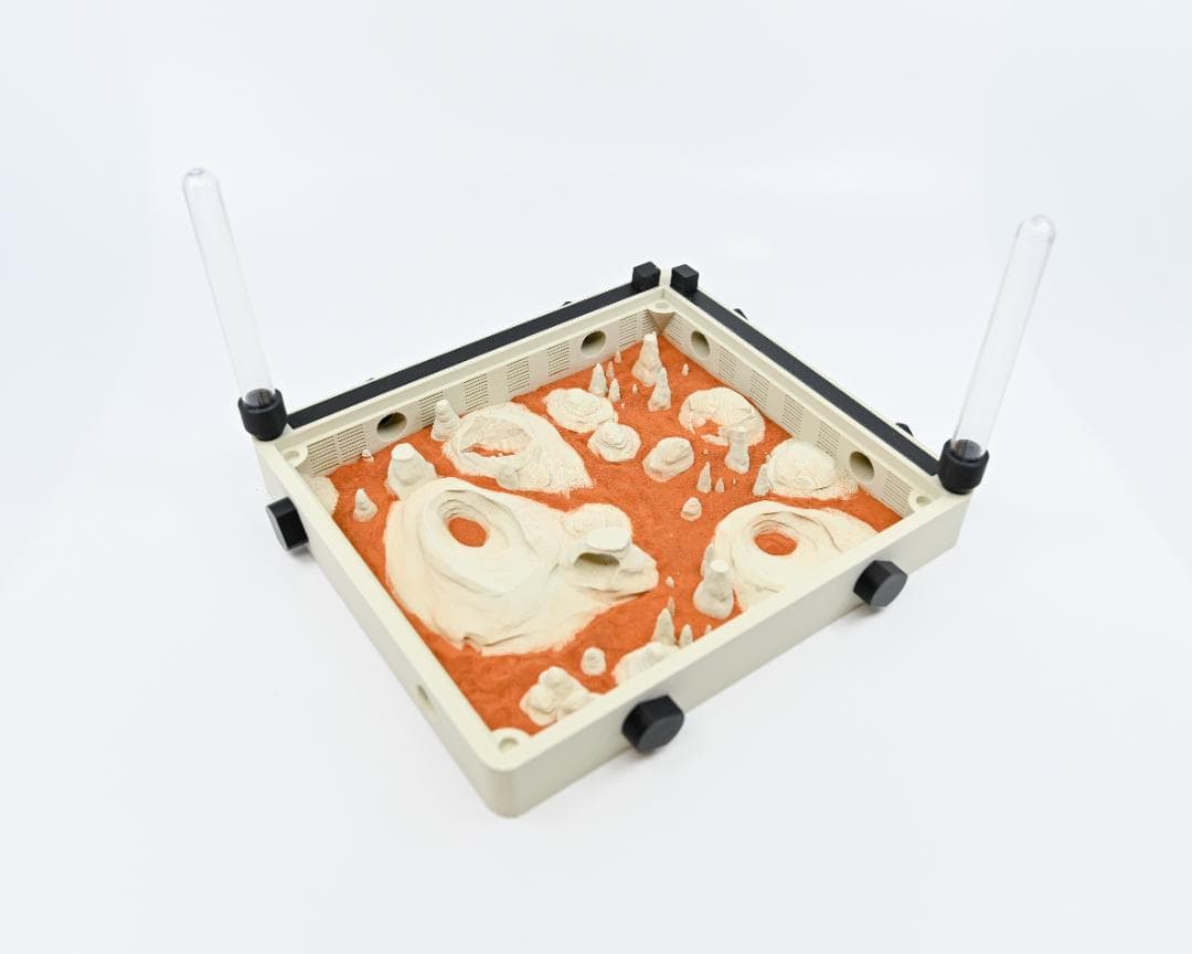 Hybrid nest type Yama Large・ブルアン（キバハリアリ）